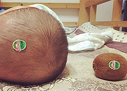 15 ξεκαρδιστικές φωτογραφίες που αποδεικνύουν ότι οι μπαμπάδες δεν πρέπει να μένουν μόνοι με τα παιδιά