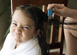 Ψείρες, αυτή η μάστιγα: Πρόληψη, έλεγχος και αντιμετώπιση