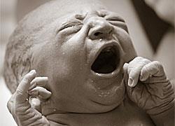 Το νεογέννητο που «ξετυλίγεται» από τον αμνιακό του σάκο είναι ό,τι πιο εντυπωσιακό είδατε σήμερα!