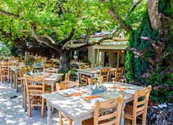 5 οικογενειακές ταβέρνες με αυλή για καλοκαιρινά μεζεδάκια!