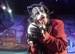 Διαγωνισμός: Κερδίστε διπλές προσκλήσεις για την παράσταση «Η ιστορία του γάτου που έμαθε σ' ένα γλάρο να πετάει»