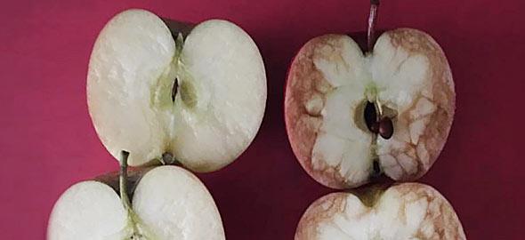«Το χτυπημένο μήλο»: Το κόλπο που σκέφτηκε μια δασκάλα για να διδάξει τον πόνο που προκαλεί το bullying