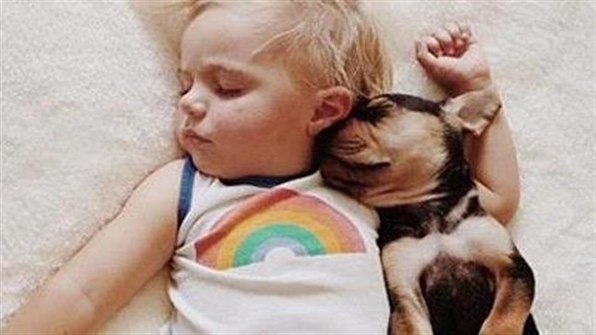 Αγκαλιά με το σκυλάκι του: Μια αληθινή ιστορία αγάπης σε 11 φωτογραφίες!