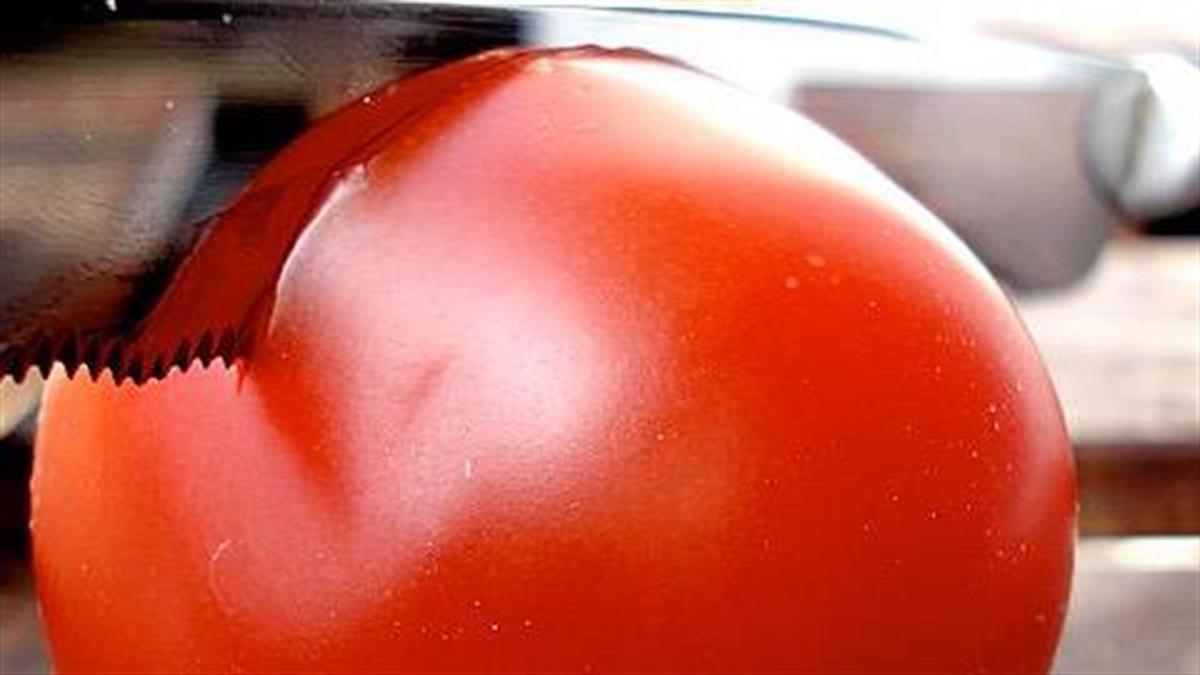 Δείτε πώς κόβονται σωστά οι ντομάτες! (video)