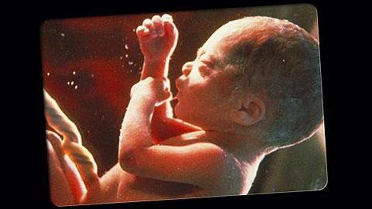 Πώς τρέφεται το έμβρυο στην κοιλιά της μητέρας; (video)