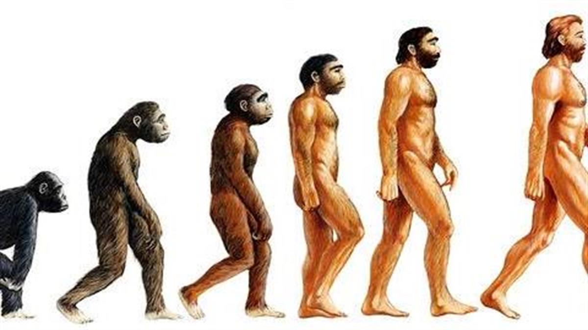 Хомо сапиенс появился в эпоху. Эволюция Дарвин хомо. Хомо сапиенс Эволюция. Эволюция человека Антропогенез.
