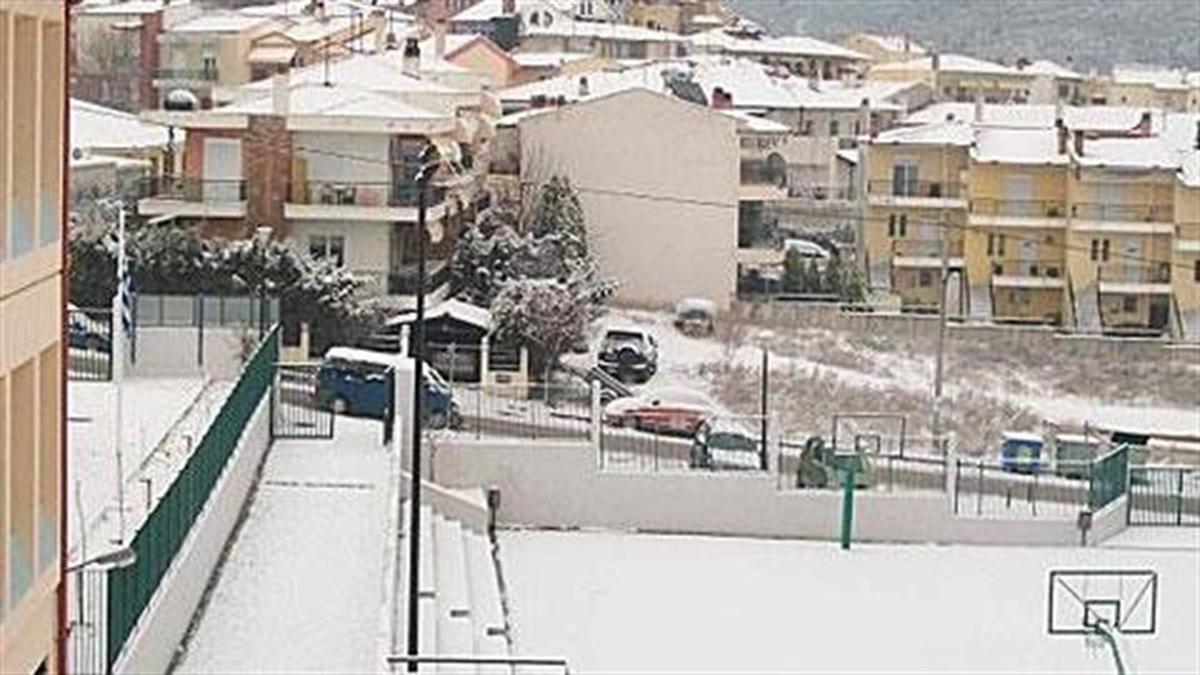 Ποια σχολεία θα είναι κλειστά αύριο στην Αττική λόγω χιονιά