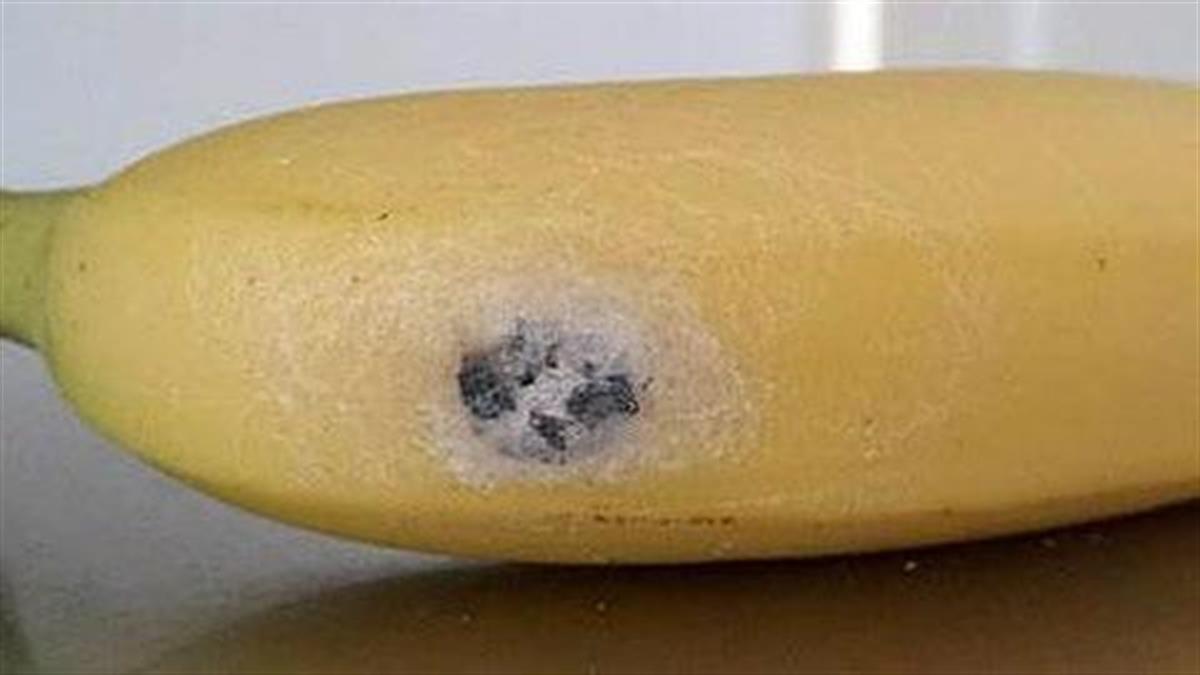 Απίστευτο βίντεο: Δεν θα πιστέψετε τι μπορεί να… βγει μέσα από μια μπανάνα!