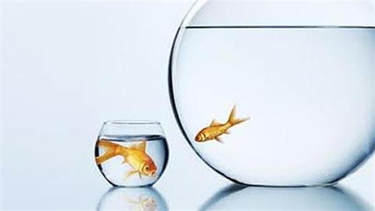 Κερδίστε 5 διπλές προσκλήσεις για την παράσταση «Μικρό-Μικρό, Μεγάλο-Μεγάλο»