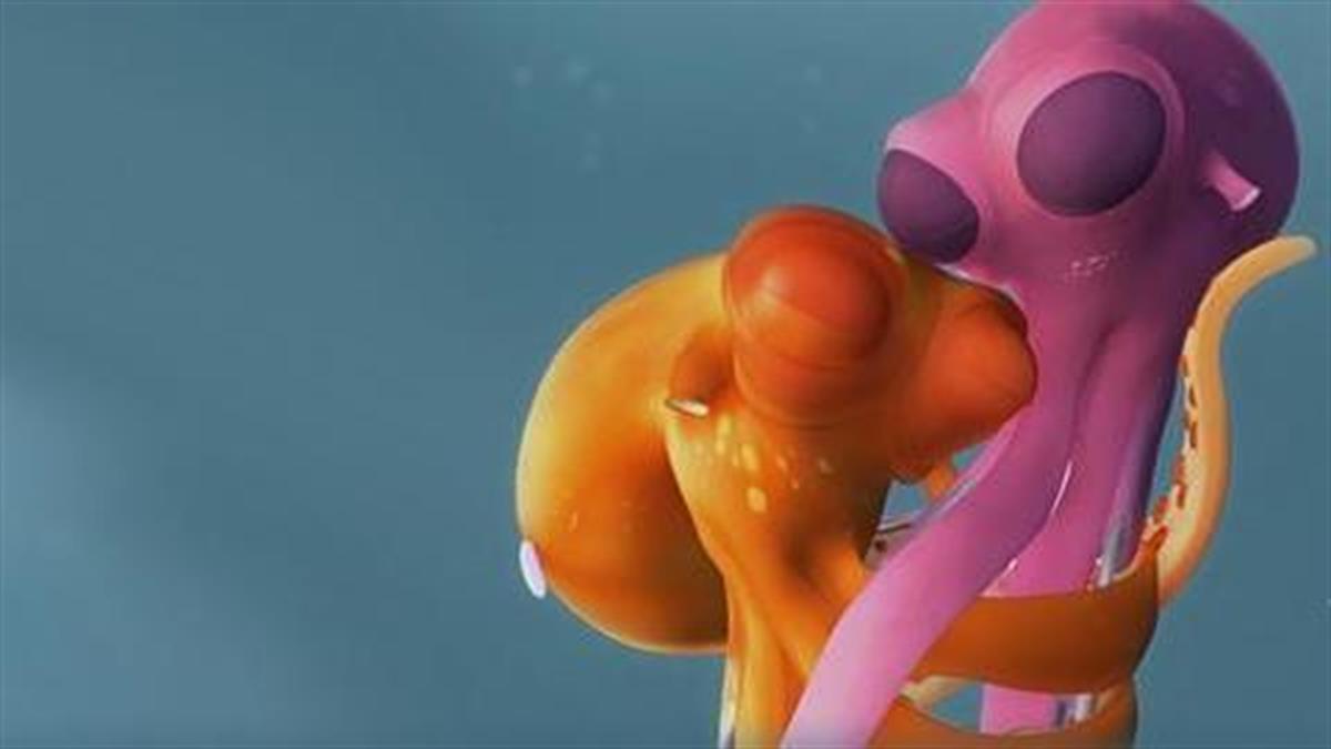 Oktapodi: Ένα γλυκό animation μικρού μήκους που αξίζει να δείτε με το παιδί