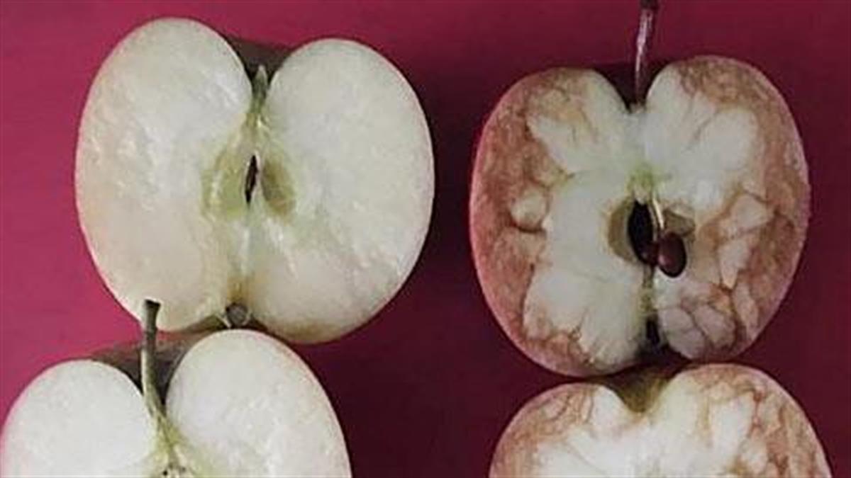 «Το χτυπημένο μήλο»: Το κόλπο που σκέφτηκε μια δασκάλα για να διδάξει τον πόνο που προκαλεί το bullying