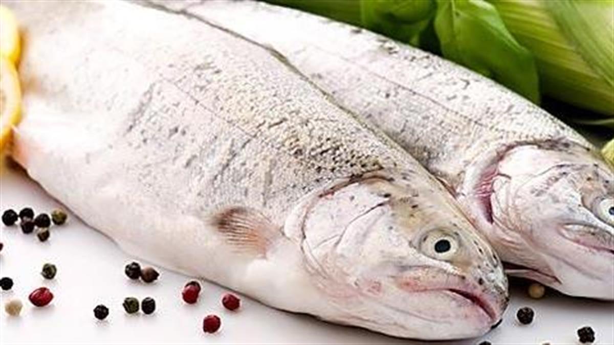 Ψάρι: 5 συνταγές που μυρίζουν θάλασσα
