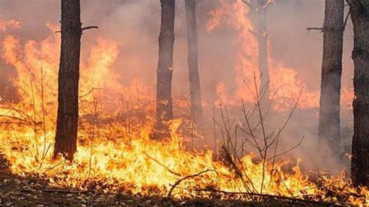 Είδη πρώτης ανάγκης, σίτιση, στέγαση και στήριξη για τους πληγέντες