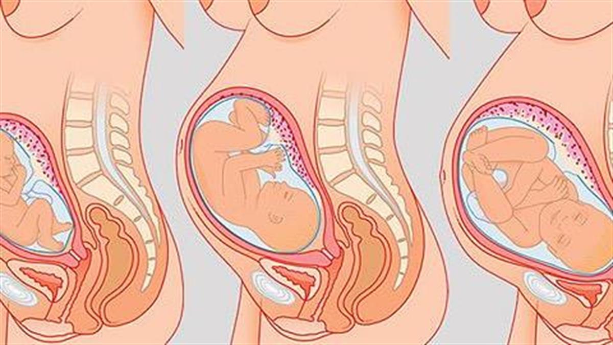 Γ τρίμηνο εγκυμοσύνης: Τα στάδια εξέλιξης του εμβρύου μέχρι την γέννα