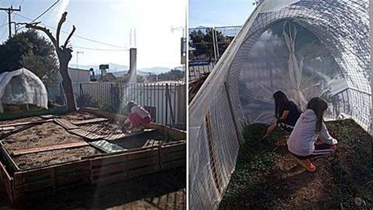 Το αλλιώτικο σχολείο της Κρήτης όπου τα παιδιά φυτεύουν, καλλιεργούν και μαγειρεύουν μόνα τους