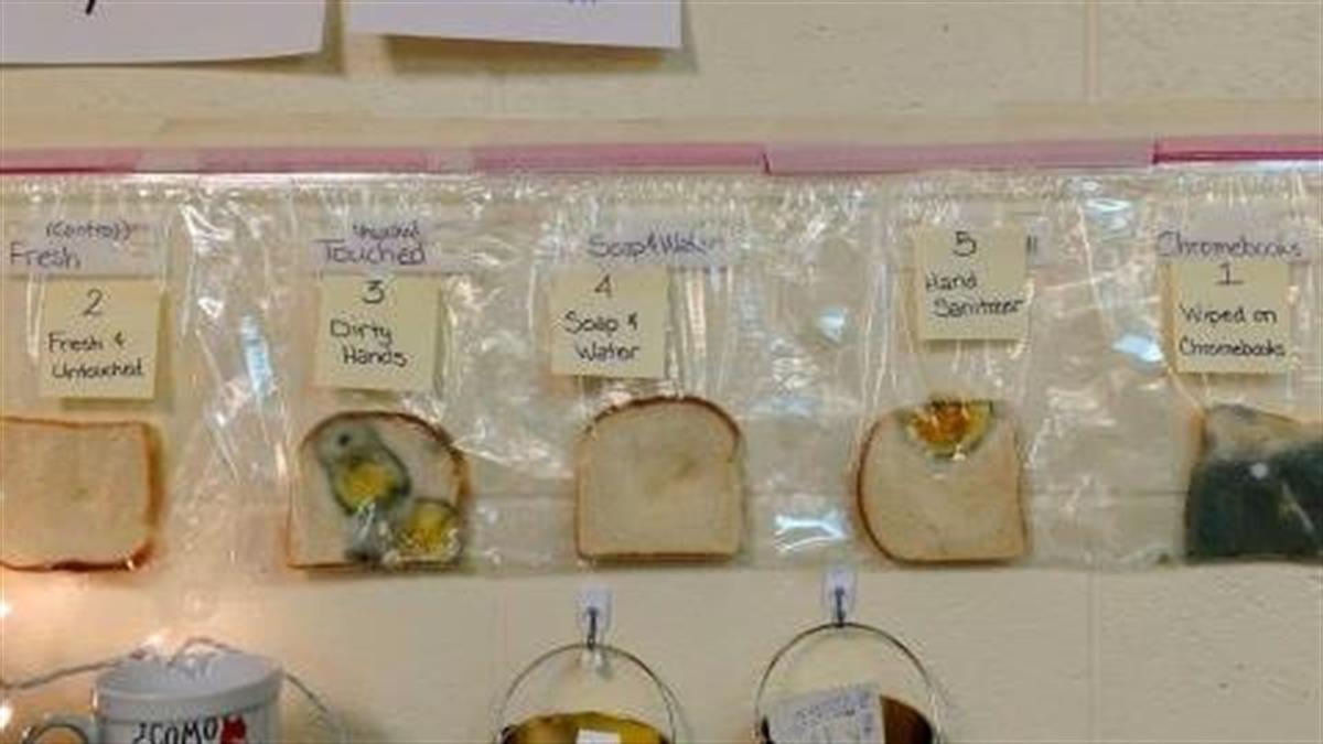 «Το πείραμα του ψωμιού»: για να γίνει το πλύσιμο των χεριών αγαπημένη συνήθεια των παιδιών