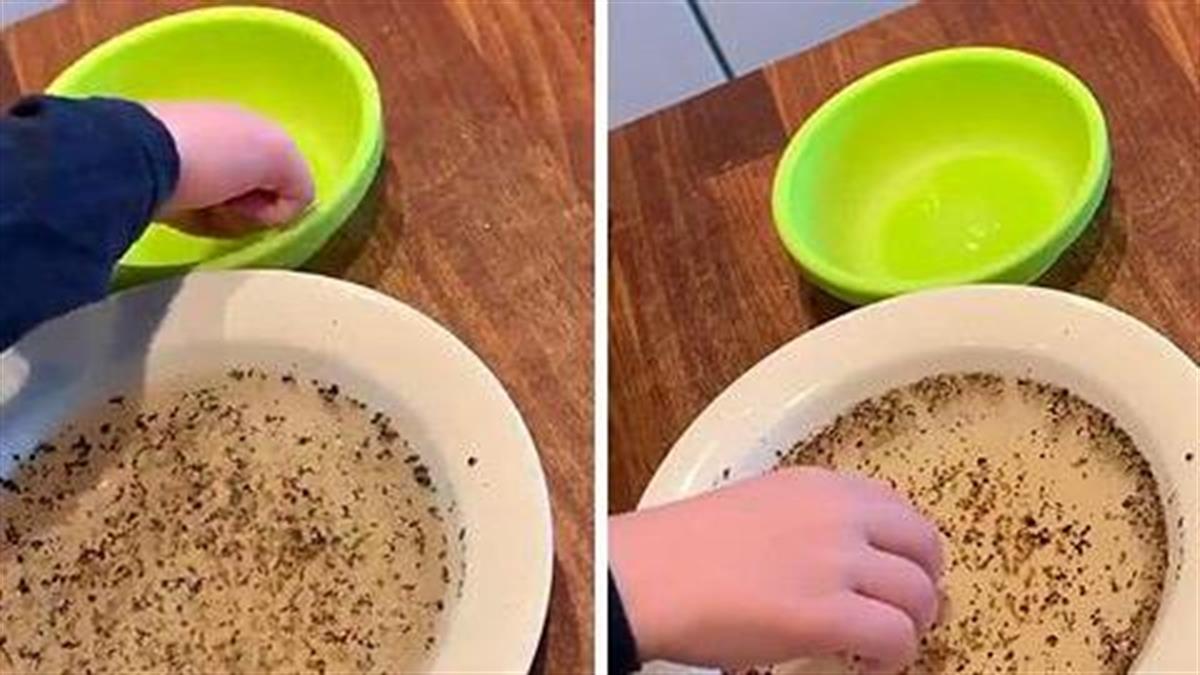 To «πείραμα με το πιπέρι»: πώς θα πείσετε το παιδί να πλένει συχνά τα χέρια του