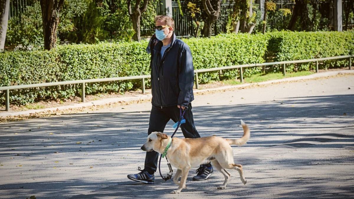 Θεσσαλονίκη: ζητούν να υιοθετήσουν άμεσα σκυλί για να βγαίνουν έξω όλες τις ώρες