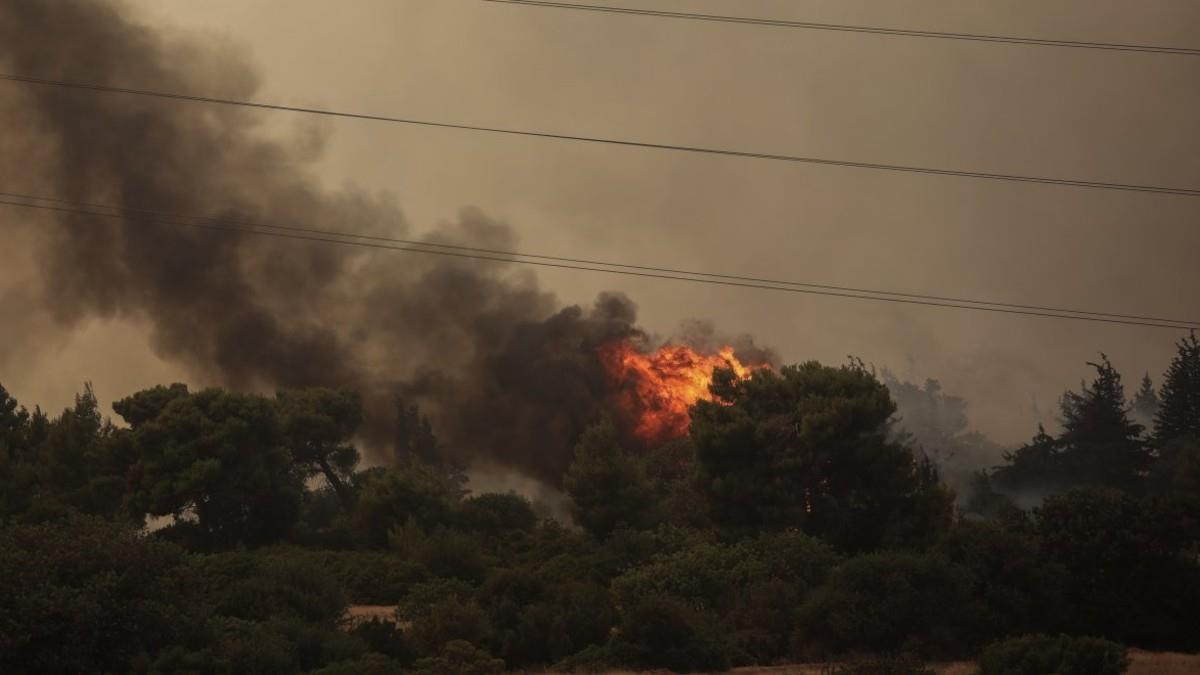 Μεγάλη πυρκαγιά στη Βαρυμπόμπη – εκκενώθηκαν σπίτια και κατασκήνωση με 64 παιδιά