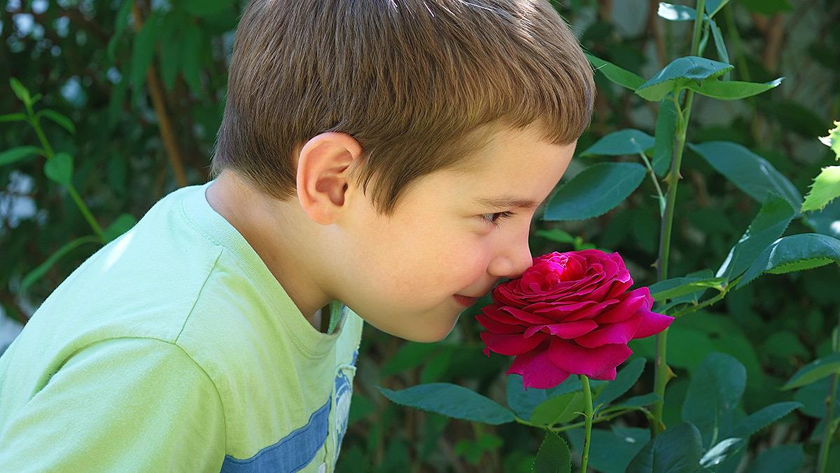 Στον ευαίσθητο γιο μου: η καλοσύνη σου είναι δύναμη και όχι αδυναμία