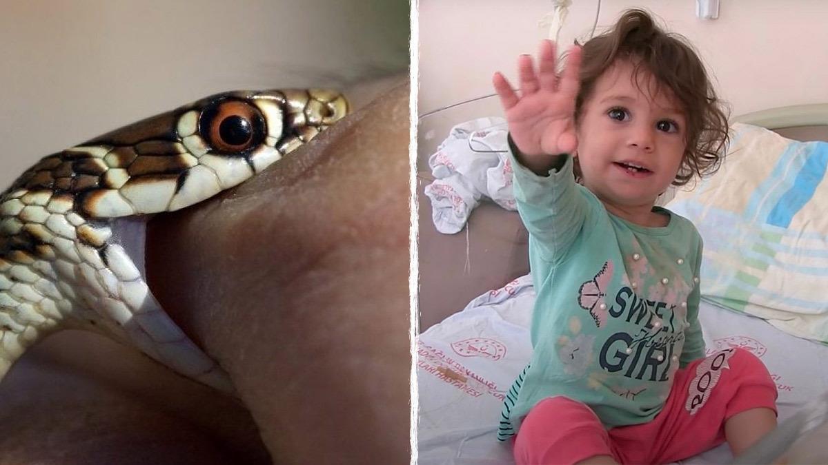 2χρονη δάγκωσε... φίδι που της επιτέθηκε και το σκότωσε!
