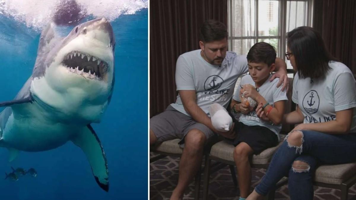 11χρονος πιάστηκε στα δόντια… καρχαρία και έχασε το πόδι του!