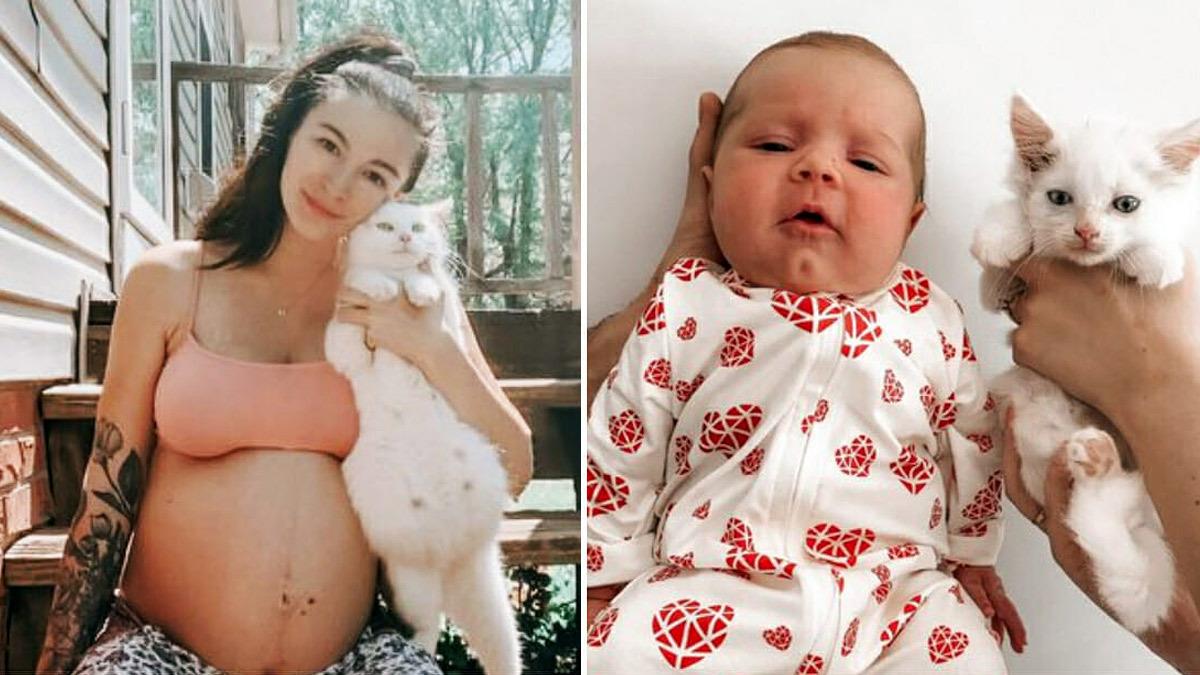 Έγκυος έσωσε έγκυο γατούλα και γέννησαν την ίδια μέρα!