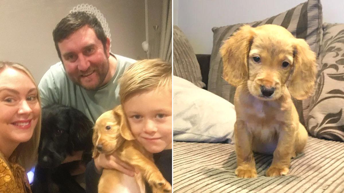 9χρονος ξεγέλασε τον μπαμπά του για να πάρουν σκύλο με τον πιο απίστευτο τρόπο!