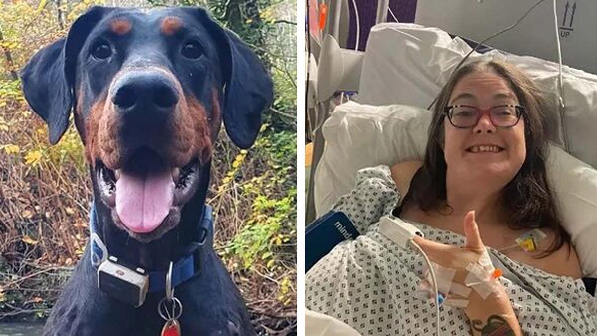 Γυναίκα με νεφρική ανεπάρκεια βρήκε τον δότη που της έσωσε τη ζωή χάρη στο...σκυλάκι της!
