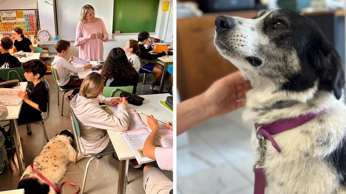 Σχολείο υιοθέτησε σκυλάκι που μεγαλώνει μαζί με τα παιδιά