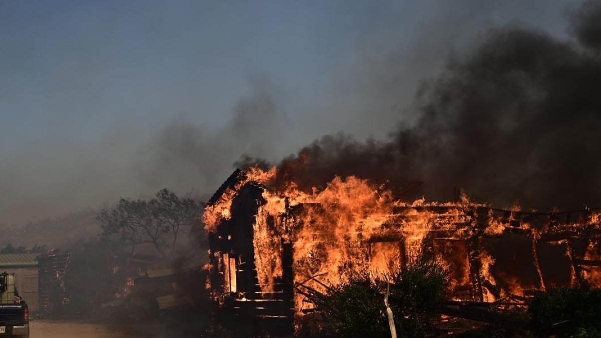 Κάηκε καταφύγιο ζώων στο Λαγονήσι - γλίτωσαν ελάχιστα ζωάκια