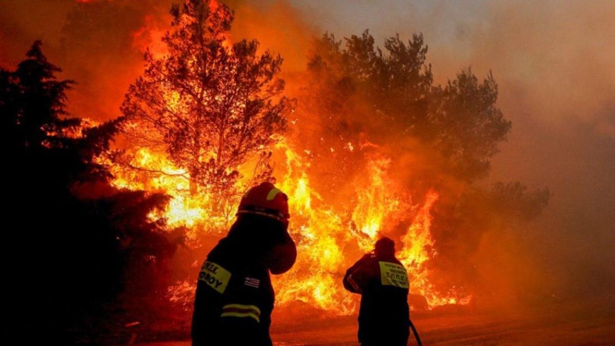 Τραγωδία στον Έβρο: εντοπίστηκε ακόμα ένας νεκρός από τη φωτιά