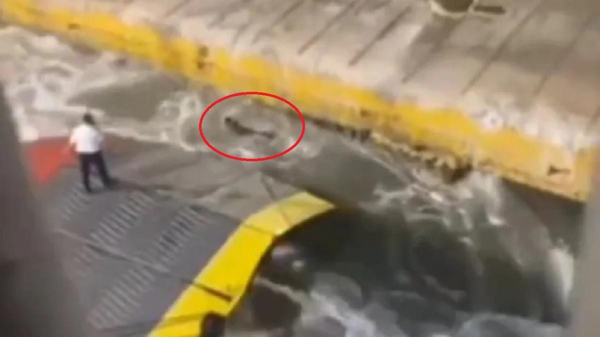 36χρονος πνίγηκε στον Πειραιά - προσπαθούσε να προλάβει το πλοίο για Κρήτη