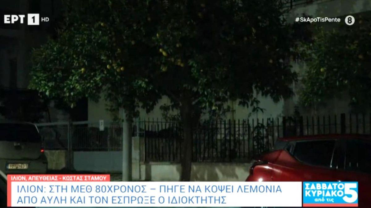 Ίλιον: επιτέθηκε σε 80χρονο επειδή έκοψε λεμόνια από δέντρο έξω από το σπίτι του