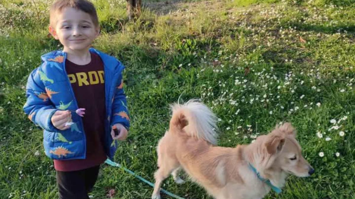 Ο 6χρονος Νικόλας πάλεψε με το τέρας που λέγεται καρκίνος και το νίκησε!