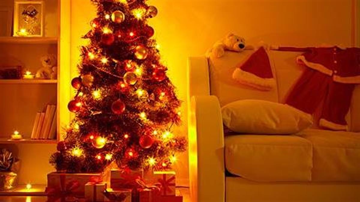 Χριστουγεννιάτικο δέντρο: Αληθινό, ψεύτικο ή… κάτι άλλο;