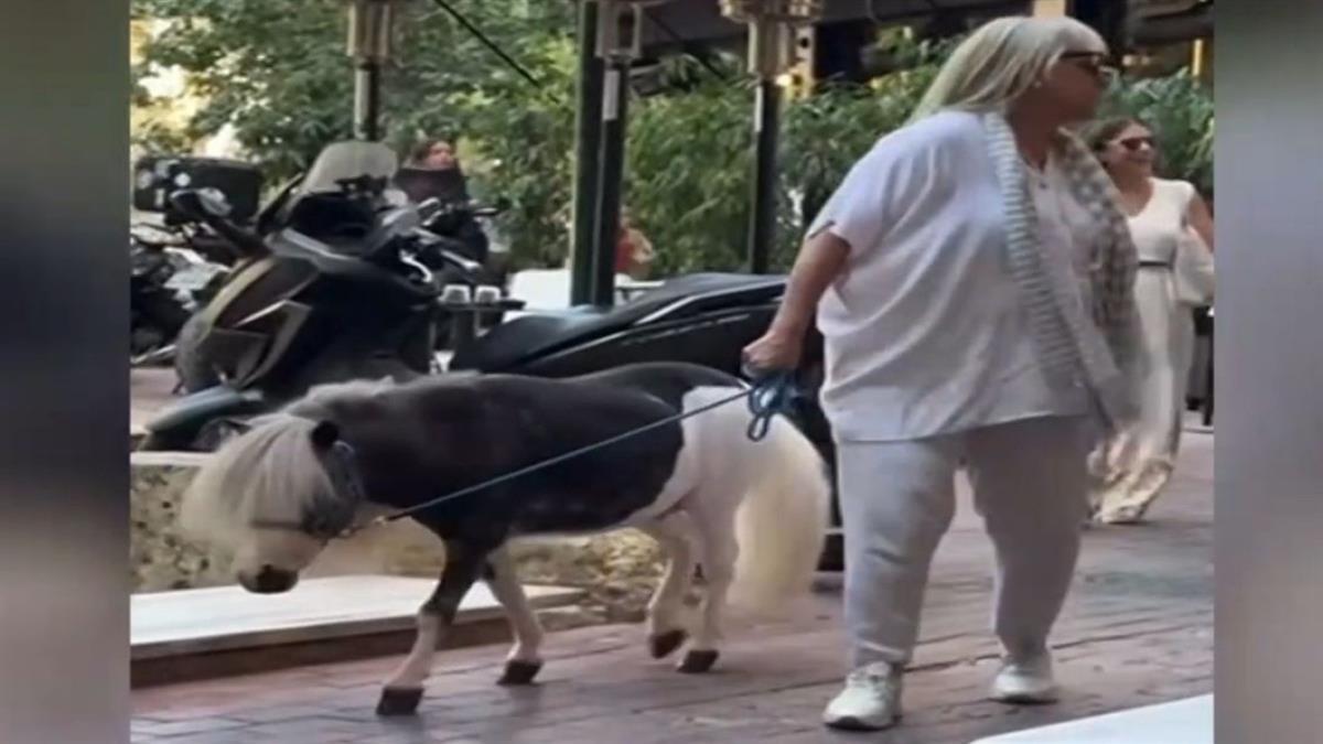 Τουρίστρια βγήκε βόλτα στην Πανεπιστημίου με... το πόνυ της!