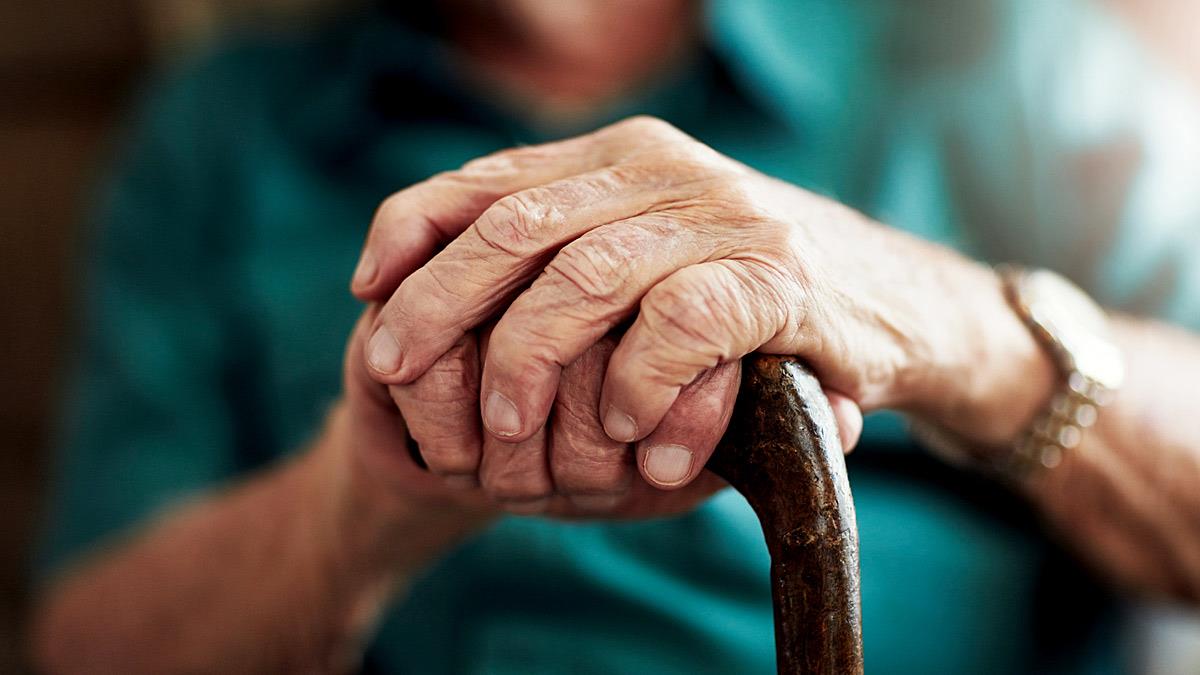 Συνταξιούχος έκοψε λίγο δεντρολίβανο από παρτέρι νοσοκομείου και συνελήφθη!