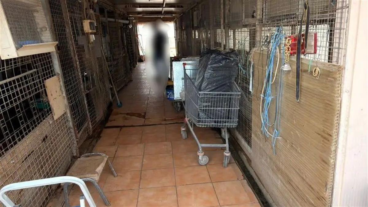 Αμπελόκηποι: συνελήφθη αρχιτέκτονας που είχε... μαντρί στην ταράτσα πολυτοκίας!