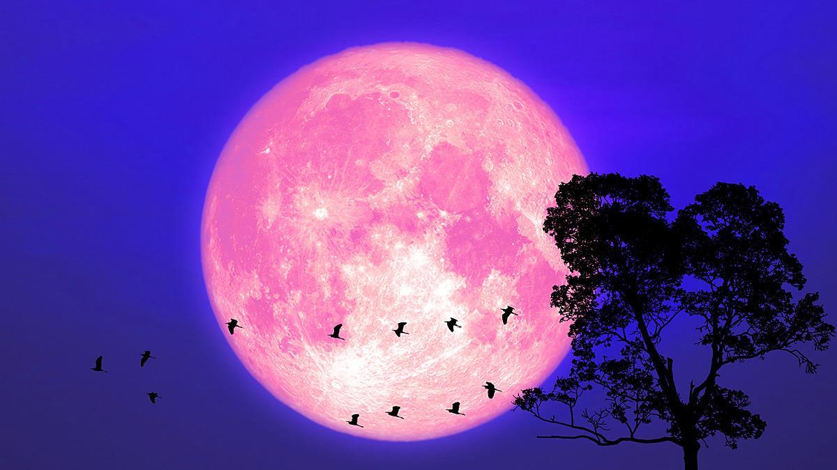 Απόψε η ροζ πανσέληνος του Απριλίου: τι συμβολίζει