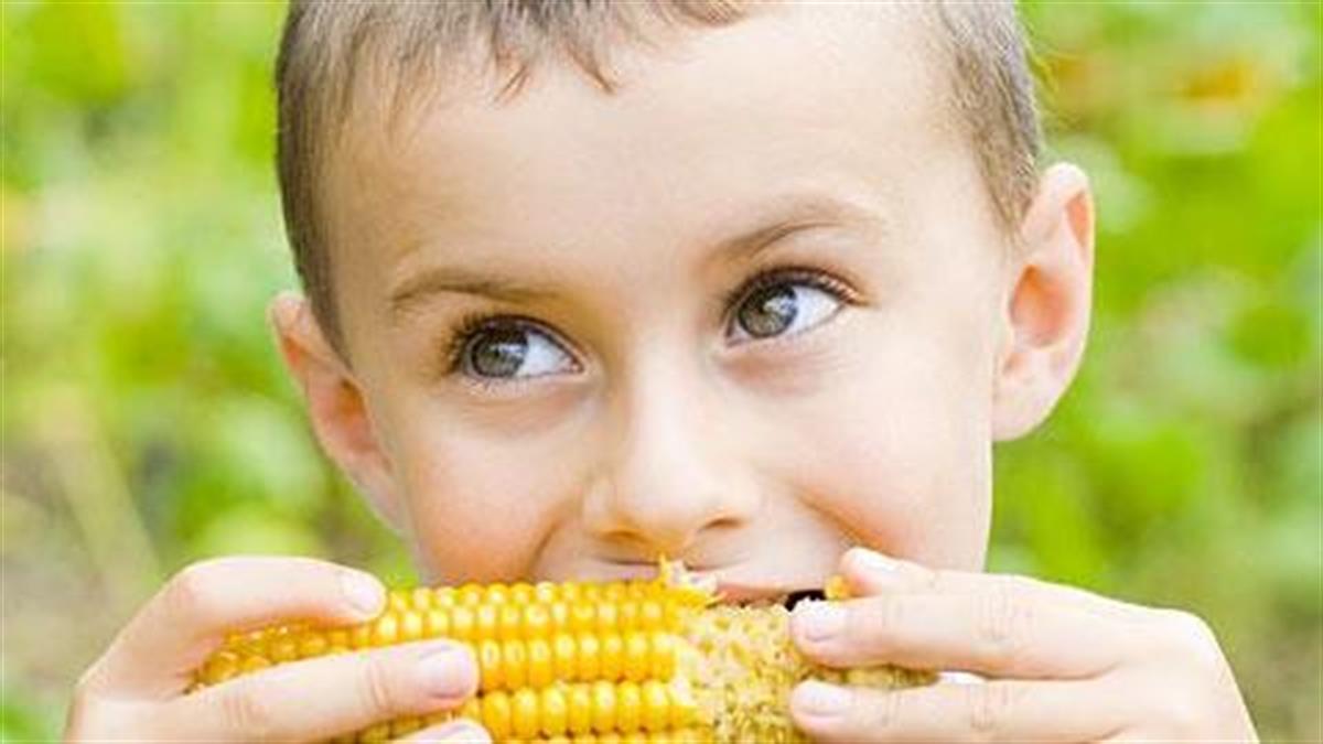 Η αλήθεια για τις φυτικές ίνες στη διατροφή των παιδιών