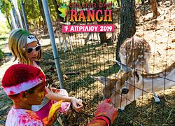Colour Day Ranch: Μια μοναδική εμπειρία χρώματος και διασκέδασης!
