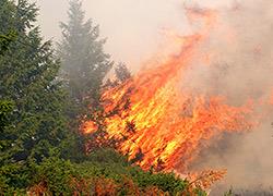 Αναλυτικές οδηγίες για να προφυλαχτείτε από μία πυρκαγιά
