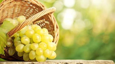 Σταφύλι: Οι ευεργετικές ιδιότητες και οι θερμίδες