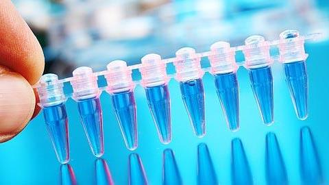 Τεστ πατρότητας κατά τη διάρκεια της εγκυμοσύνης