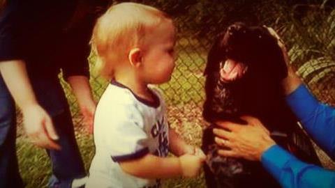 Σκύλος «κάρφωσε» νταντά που κακοποιούσε το παιδί