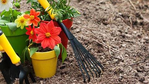 Τι φυτεύουμε το φθινόπωρο