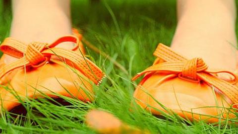 Οι πιο χαριτωμένες μπαλαρίνες του φθινοπώρου