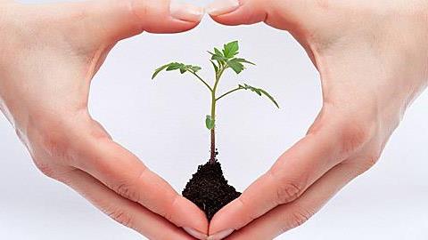 Γνωρίστε τον κύκλο σας και αυξήστε τις πιθανότητες να μείνετε έγκυος