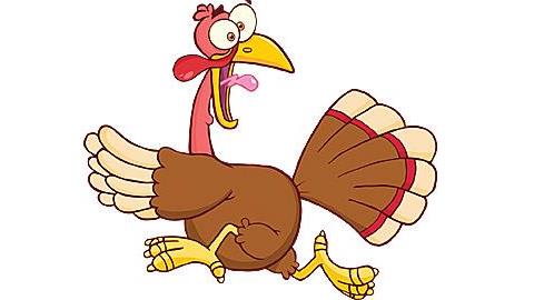 Γαλοπούλα: 9 πράγματα που δεν ξέρετε για το δημοφιλές πτηνό!